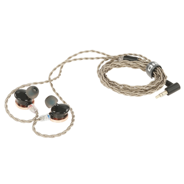 Купить FIIO FP3 Rosewood-2.jpg